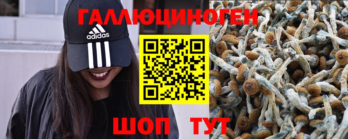 Псилоцибиновые грибы Magic Shrooms Луховицы